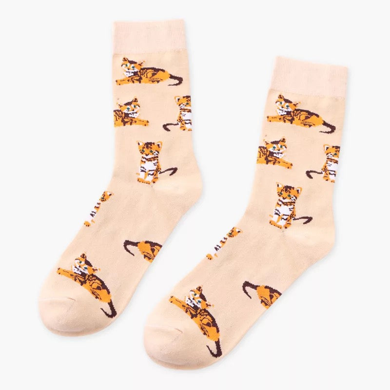 KITTENS - tiffysocks