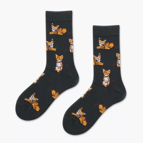 KITTENS - tiffysocks