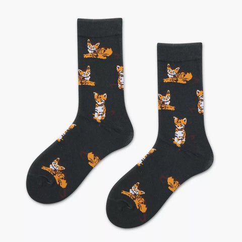 KITTENS - tiffysocks